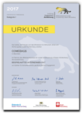 Lea-Urkunde-2017